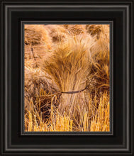 Load image into Gallery viewer, Plate 1 - Guatemala Highlands Shock of Wheat
