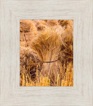 Load image into Gallery viewer, Plate 1 - Guatemala Highlands Shock of Wheat
