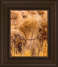 Load image into Gallery viewer, Plate 1 - Guatemala Highlands Shock of Wheat
