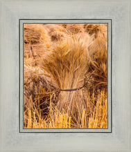 Load image into Gallery viewer, Plate 1 - Guatemala Highlands Shock of Wheat
