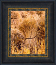 Load image into Gallery viewer, Plate 1 - Guatemala Highlands Shock of Wheat
