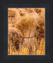 Load image into Gallery viewer, Plate 1 - Guatemala Highlands Shock of Wheat
