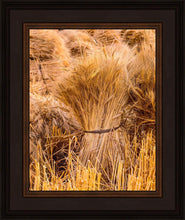 Load image into Gallery viewer, Plate 1 - Guatemala Highlands Shock of Wheat
