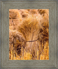 Load image into Gallery viewer, Plate 1 - Guatemala Highlands Shock of Wheat
