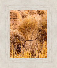 Load image into Gallery viewer, Plate 1 - Guatemala Highlands Shock of Wheat
