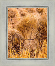 Load image into Gallery viewer, Plate 1 - Guatemala Highlands Shock of Wheat
