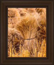 Load image into Gallery viewer, Plate 1 - Guatemala Highlands Shock of Wheat
