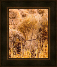 Load image into Gallery viewer, Plate 1 - Guatemala Highlands Shock of Wheat
