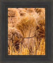 Load image into Gallery viewer, Plate 1 - Guatemala Highlands Shock of Wheat
