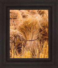 Load image into Gallery viewer, Plate 1 - Guatemala Highlands Shock of Wheat
