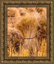 Load image into Gallery viewer, Plate 1 - Guatemala Highlands Shock of Wheat
