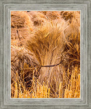 Load image into Gallery viewer, Plate 1 - Guatemala Highlands Shock of Wheat
