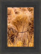 Load image into Gallery viewer, Plate 1 - Guatemala Highlands Shock of Wheat
