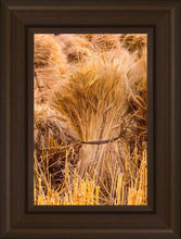 Load image into Gallery viewer, Plate 1 - Guatemala Highlands Shock of Wheat

