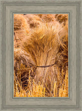 Load image into Gallery viewer, Plate 1 - Guatemala Highlands Shock of Wheat
