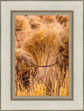 Load image into Gallery viewer, Plate 1 - Guatemala Highlands Shock of Wheat
