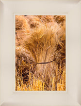 Load image into Gallery viewer, Plate 1 - Guatemala Highlands Shock of Wheat
