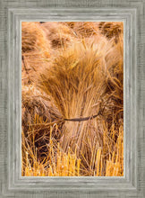 Load image into Gallery viewer, Plate 1 - Guatemala Highlands Shock of Wheat
