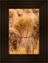 Load image into Gallery viewer, Plate 1 - Guatemala Highlands Shock of Wheat
