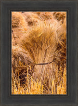 Load image into Gallery viewer, Plate 1 - Guatemala Highlands Shock of Wheat
