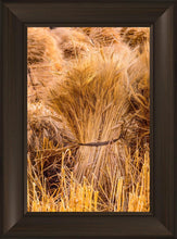 Load image into Gallery viewer, Plate 1 - Guatemala Highlands Shock of Wheat
