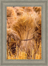 Load image into Gallery viewer, Plate 1 - Guatemala Highlands Shock of Wheat
