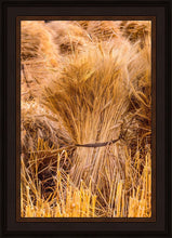 Load image into Gallery viewer, Plate 1 - Guatemala Highlands Shock of Wheat
