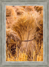 Load image into Gallery viewer, Plate 1 - Guatemala Highlands Shock of Wheat
