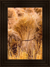 Load image into Gallery viewer, Plate 1 - Guatemala Highlands Shock of Wheat

