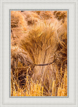 Load image into Gallery viewer, Plate 1 - Guatemala Highlands Shock of Wheat
