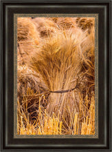Load image into Gallery viewer, Plate 1 - Guatemala Highlands Shock of Wheat
