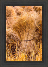 Load image into Gallery viewer, Plate 1 - Guatemala Highlands Shock of Wheat
