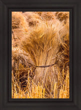 Load image into Gallery viewer, Plate 1 - Guatemala Highlands Shock of Wheat
