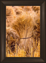 Load image into Gallery viewer, Plate 1 - Guatemala Highlands Shock of Wheat
