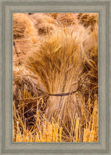 Load image into Gallery viewer, Plate 1 - Guatemala Highlands Shock of Wheat
