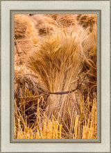 Load image into Gallery viewer, Plate 1 - Guatemala Highlands Shock of Wheat
