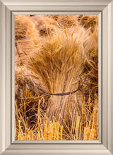 Load image into Gallery viewer, Plate 1 - Guatemala Highlands Shock of Wheat
