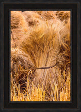 Load image into Gallery viewer, Plate 1 - Guatemala Highlands Shock of Wheat
