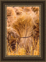 Load image into Gallery viewer, Plate 1 - Guatemala Highlands Shock of Wheat
