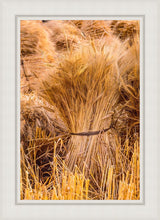 Load image into Gallery viewer, Plate 1 - Guatemala Highlands Shock of Wheat
