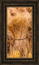 Load image into Gallery viewer, Plate 1 - Guatemala Highlands Shock of Wheat
