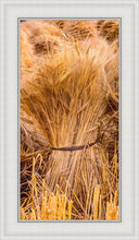 Load image into Gallery viewer, Plate 1 - Guatemala Highlands Shock of Wheat
