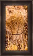 Load image into Gallery viewer, Plate 1 - Guatemala Highlands Shock of Wheat
