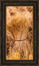 Load image into Gallery viewer, Plate 1 - Guatemala Highlands Shock of Wheat
