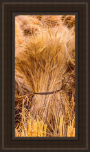 Load image into Gallery viewer, Plate 1 - Guatemala Highlands Shock of Wheat
