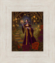 Load image into Gallery viewer, The Light Gatherer
