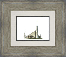 Load image into Gallery viewer, Sacred Places Dallas
