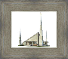 Load image into Gallery viewer, Sacred Places Dallas
