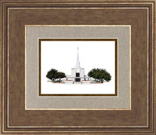 Load image into Gallery viewer, Sacred Places Denver
