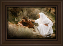 Load image into Gallery viewer, The Comforter
